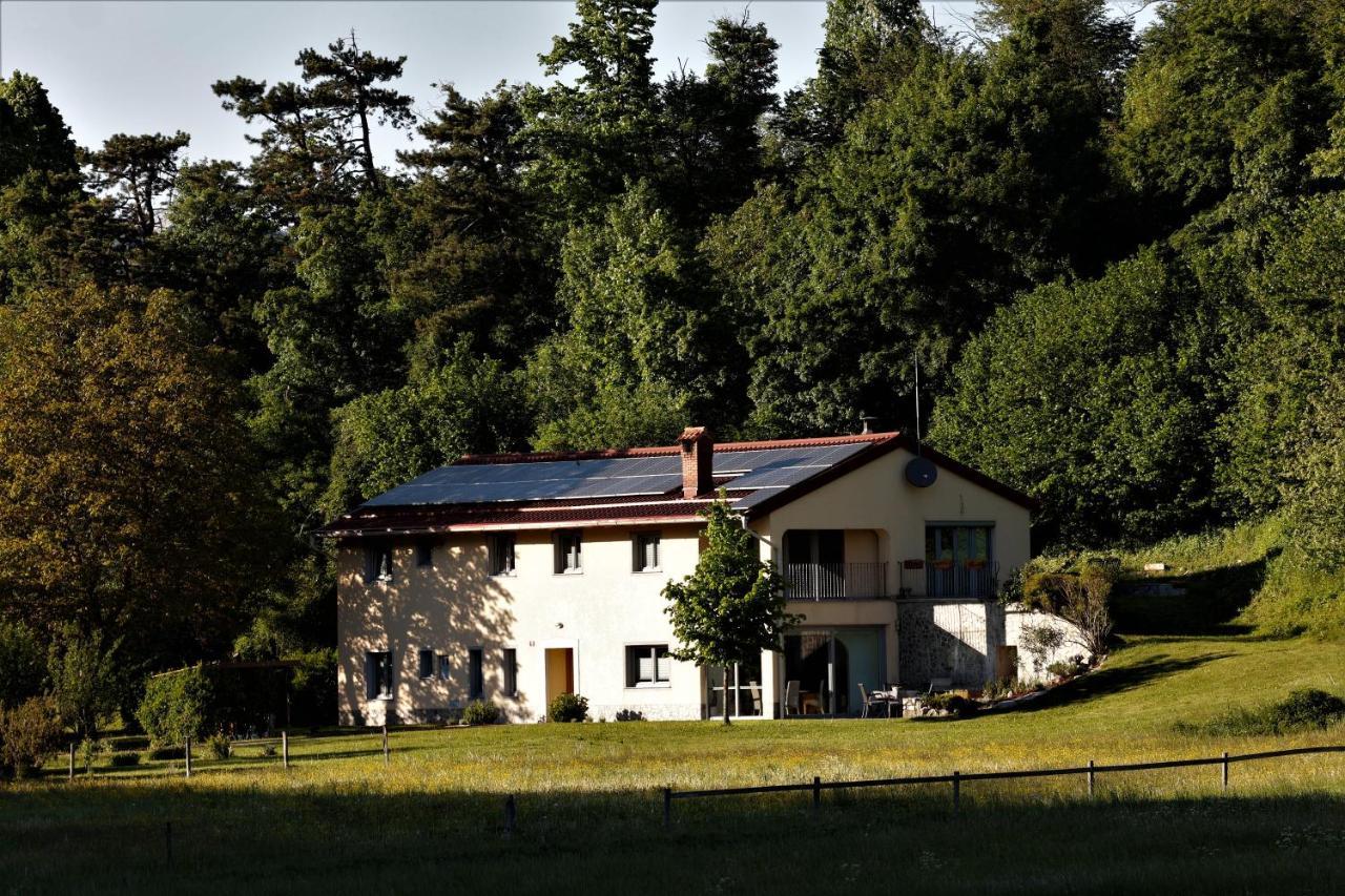 Senozece Guesthouse Idila Pod Nanosom מראה חיצוני תמונה